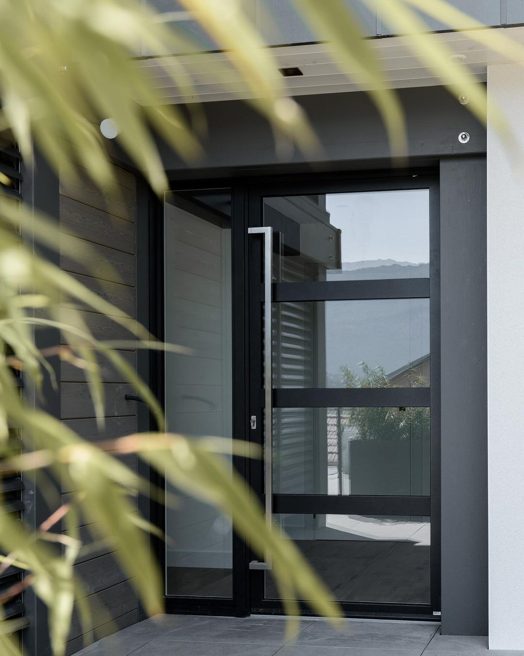 porte entrée6